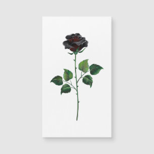 Black rose flower