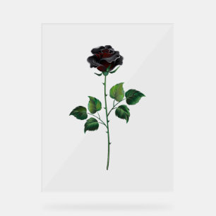 Black rose flower acrylic sign