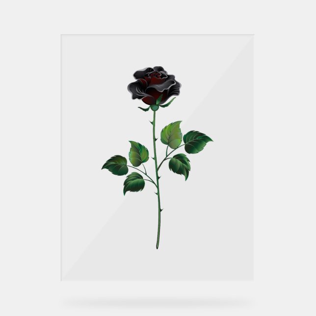 Black rose flower acrylic sign (Front)