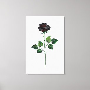 Black rose flower canvas print