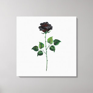 Black rose flower canvas print
