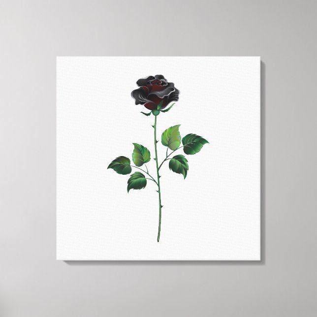 Black rose flower canvas print (Front)