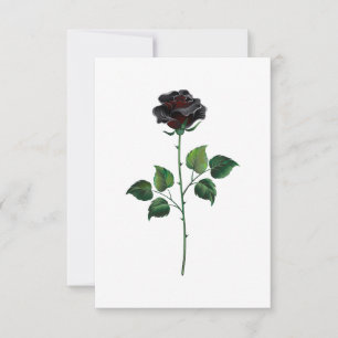 Black rose flower card