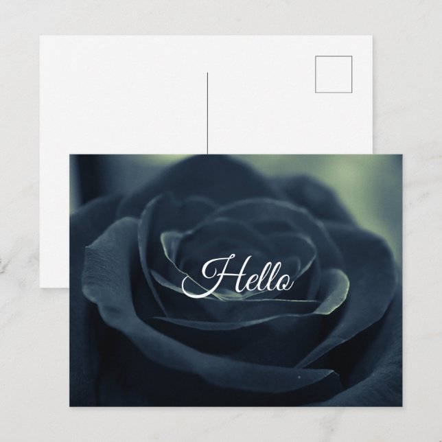 Black Rose Flower Dark Gothic Vibe Hello Postcard (Front/Back)