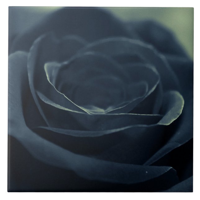 Black Rose Flower Dark Gothic Vibe Tile (Front)