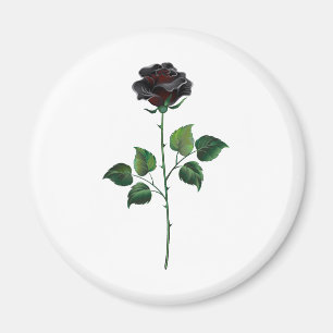 Black rose flower magnet