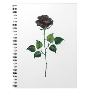Black rose flower notebook