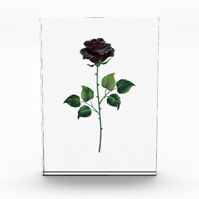 Black rose flower photo block (Front)