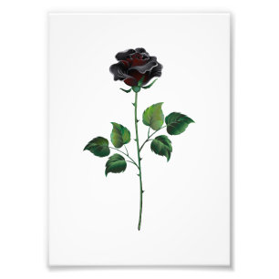 Black rose flower photo print