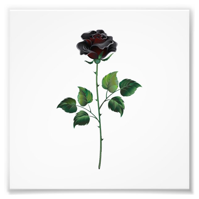 Black rose flower photo print (Front)