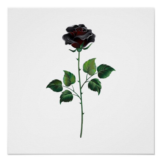 Black rose flower poster (Front)