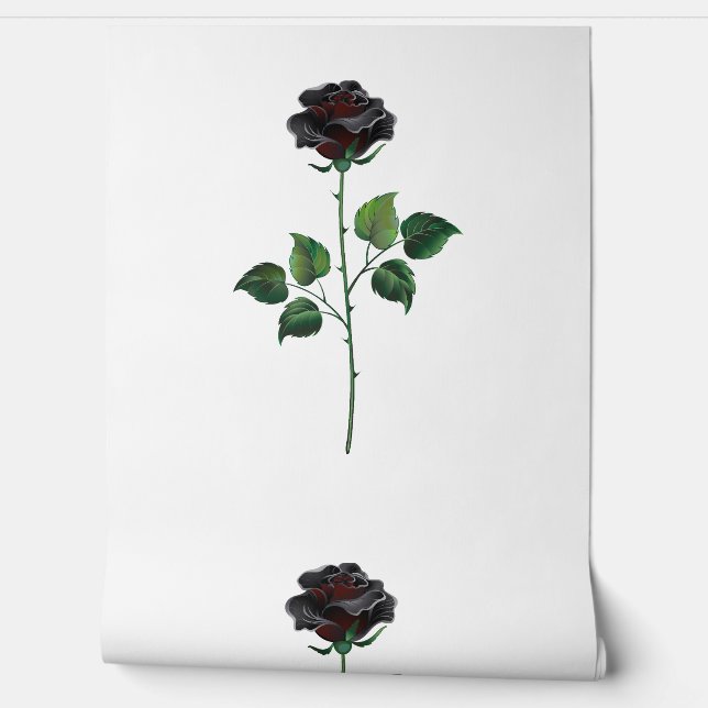 Black rose flower wallpaper (Unrolling)