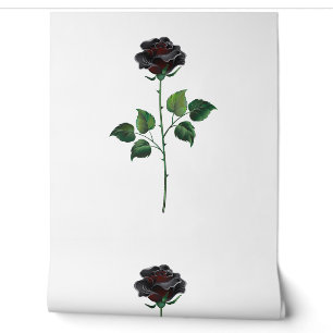Black rose flower wallpaper