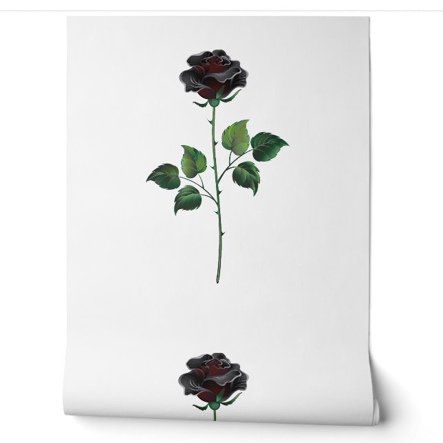Black rose flower wallpaper (Unrolling)