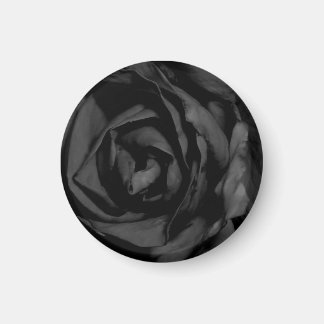 Black Rose Magnet