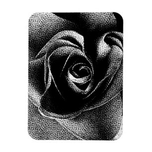 BLACK ROSE MAGNET