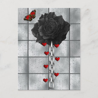 Black Rose Of Love Postcard