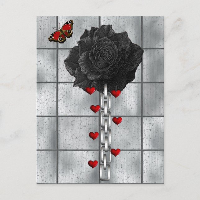 Black Rose Of Love Postcard (Front)