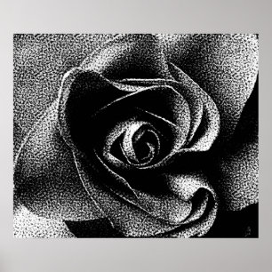 BLACK ROSE POSTER