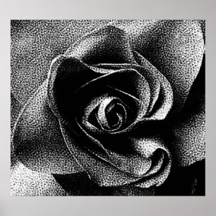 BLACK ROSE POSTER
