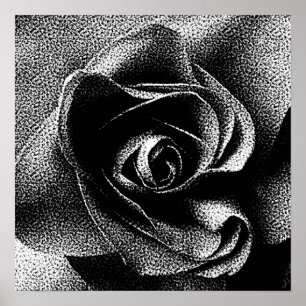 BLACK ROSE POSTER