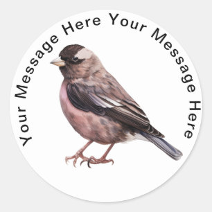 Black Rosy Finch Classic Round Sticker