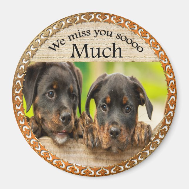 Black Rottweiler cute puppy dogs with sad faces Magnet (Front)