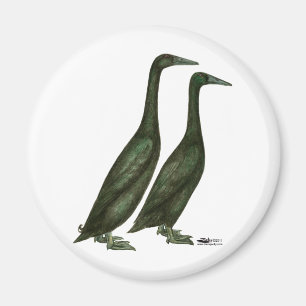 Black Runner Ducks Magnet