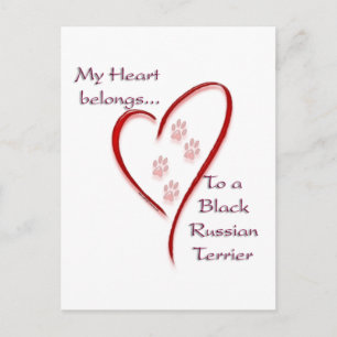 Black Russian Terrier Heart Belongs Postcard