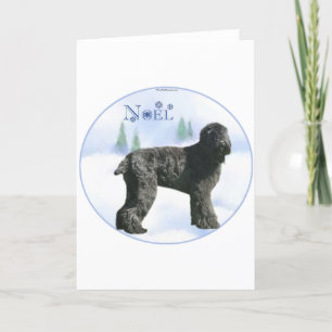 Black Russian Terrier Noel Holiday Card