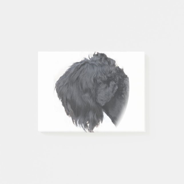 Black Russian Terrier Post-it Notes (Front)