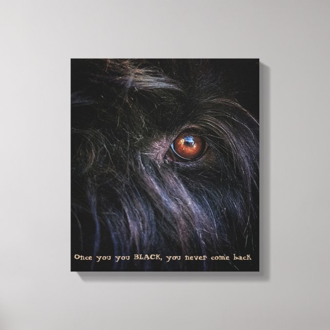 Black Russian terrier Print (Front)