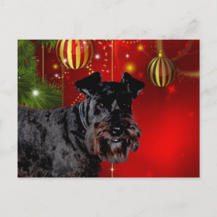 Black Schnauzer Christmas Holiday Postcard
