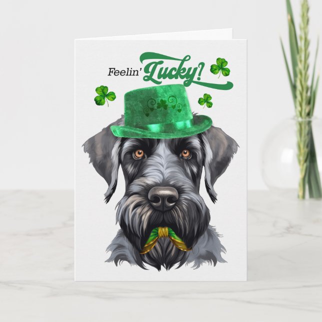 Black Schnauzer Dog Feelin' Lucky St Patrick's Day Holiday Card (Front)
