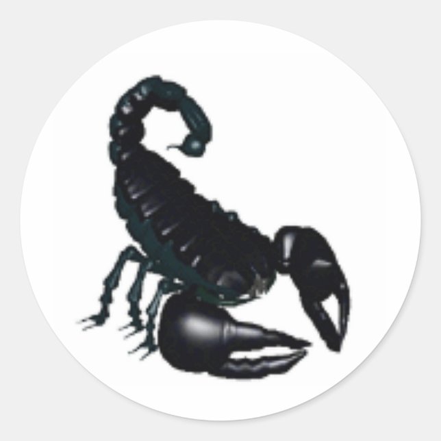 Black Scorpion Classic Round Sticker (Front)