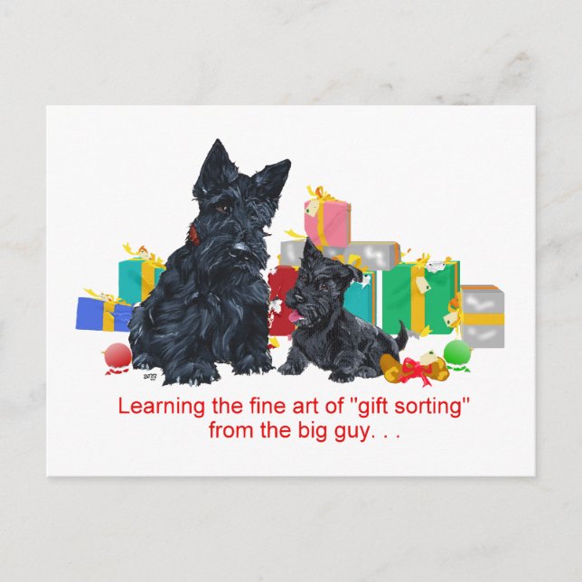 Black Scottie & Pup Christmas Holiday Postcard (Front)