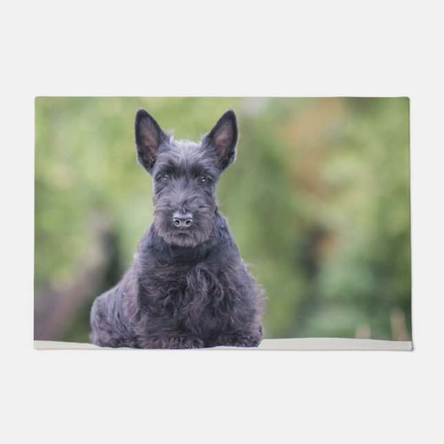 Black Scottish Terrier Doormat (Front)
