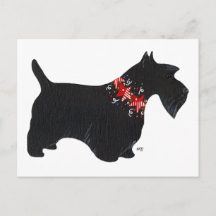 Black Scottish Terrier Holiday Collar Postcard
