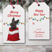 Black Scottish Terrier in Santa Bag