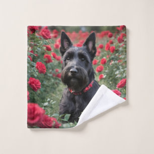 Black Scottish Terrier In The Red Roses, Wash Cloth