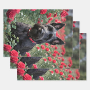 Black Scottish Terrier In The Red Roses, Wrapping Paper Sheet