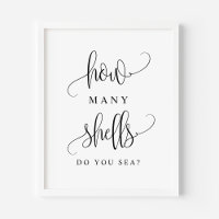 Black Script How Many Shells Do You Sea Game