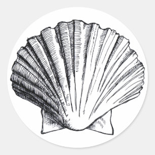 Black Sea Shell Sticker