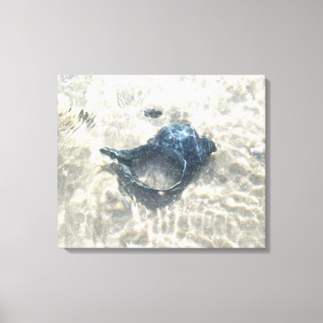 Black Seashell Canvas Print (Front)