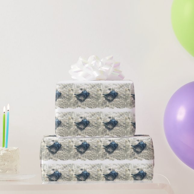 Black Seashell Wrapping Paper (Party Gifts)