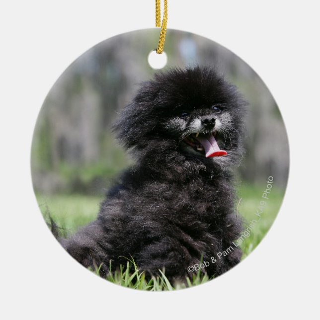 Black Senior Pomeranian Ceramic Tree Decoration (Front)