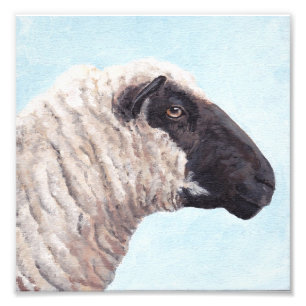 Black Sheep Face II Photo Print