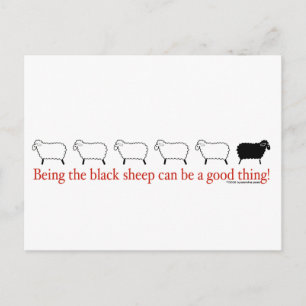 Black Sheep Postcard