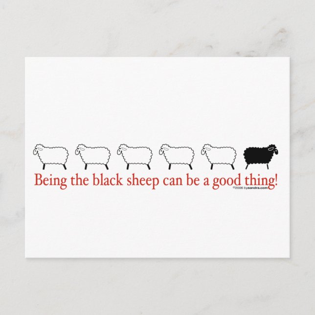 Black Sheep Postcard (Front)