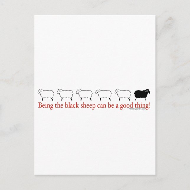 Black Sheep Postcard (Front)
